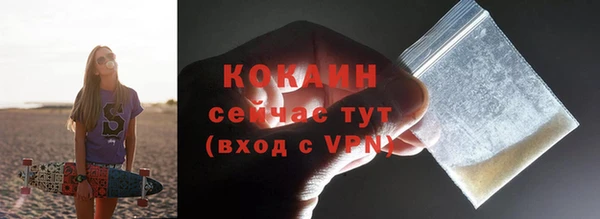 дживик Арсеньев