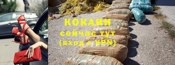 прущие грибы Баксан