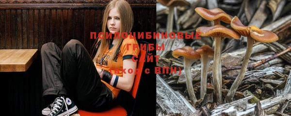 индика Балабаново